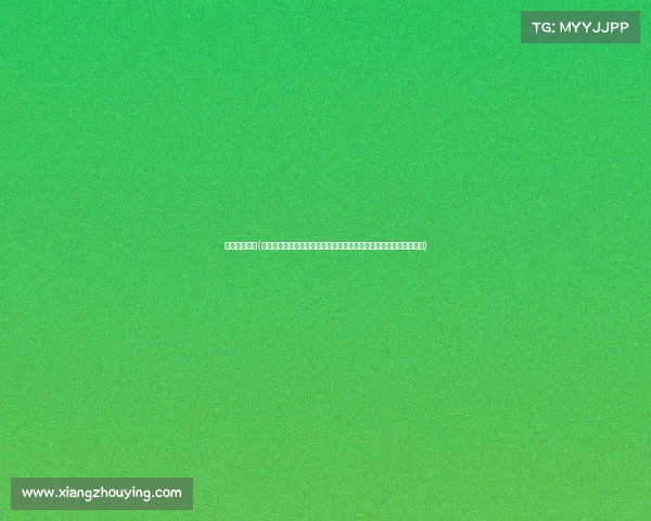 富力球队赛事(广州富力足球队本赛季赛事精彩回顾与未来征程深度剖析展望新篇章)